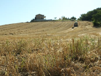Photo of Cultivated field on sunny day. Agriculture industry