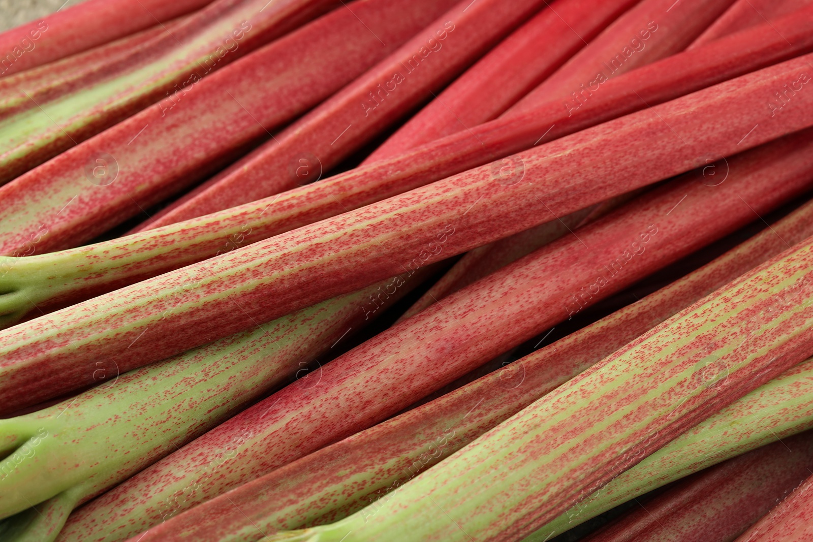 Photo of Fresh ripe rhubarb stalks as background, closeup