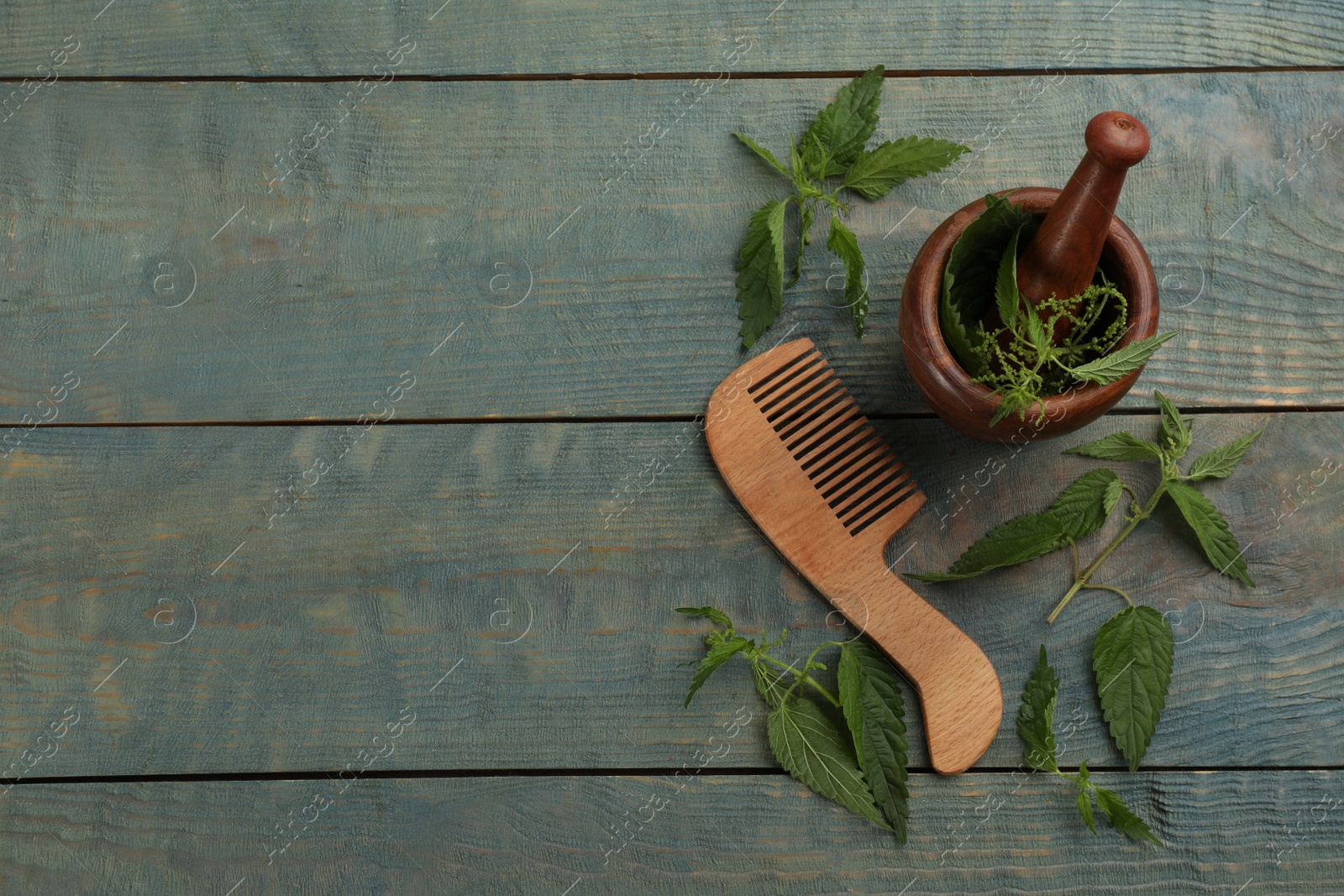 Photo of Stinging nettle and comb on blue wooden background, flat lay with space for text. Natural hair care