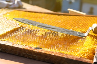 Uncapping knife and honeycomb frame on wooden table outdoors, closeup