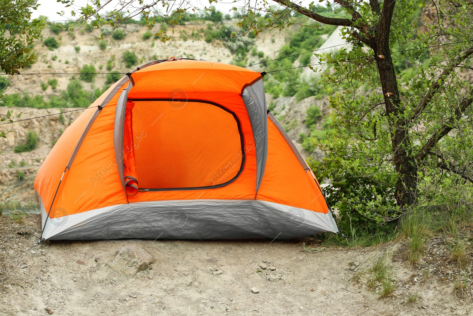 Photo of Modern camping tent near tree in wilderness
