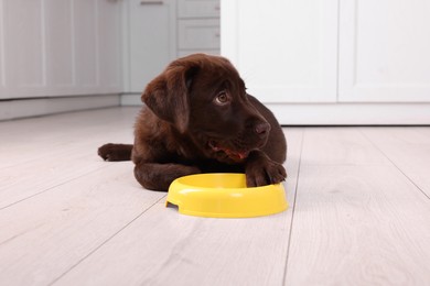 Photo of Cute chocolate Labrador Retriever puppy with feeding bowl on floor indoors. Lovely pet