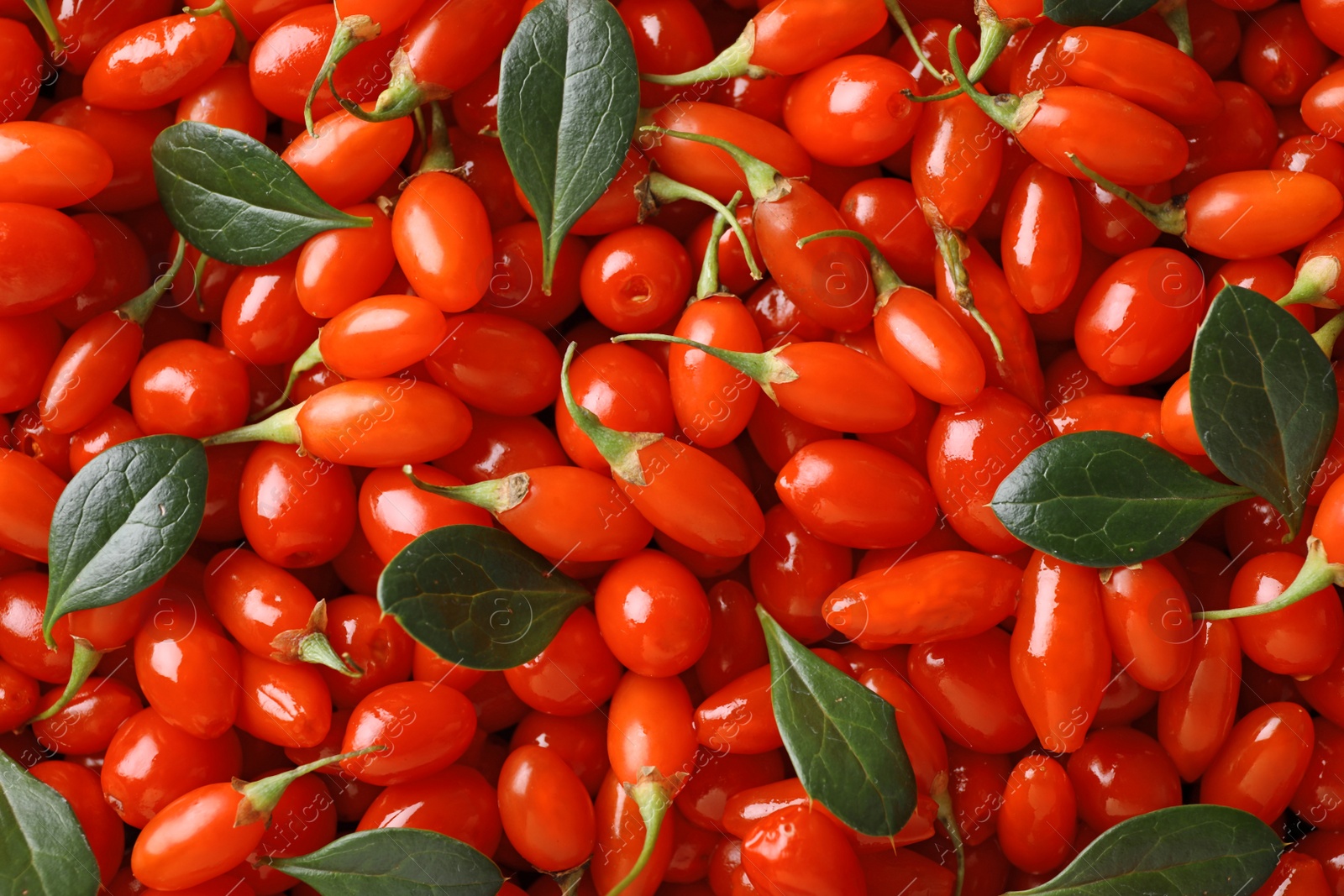 Photo of Fresh ripe goji berries with leaves as background, top view