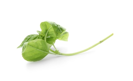 Photo of Fresh green basil leaves on white background