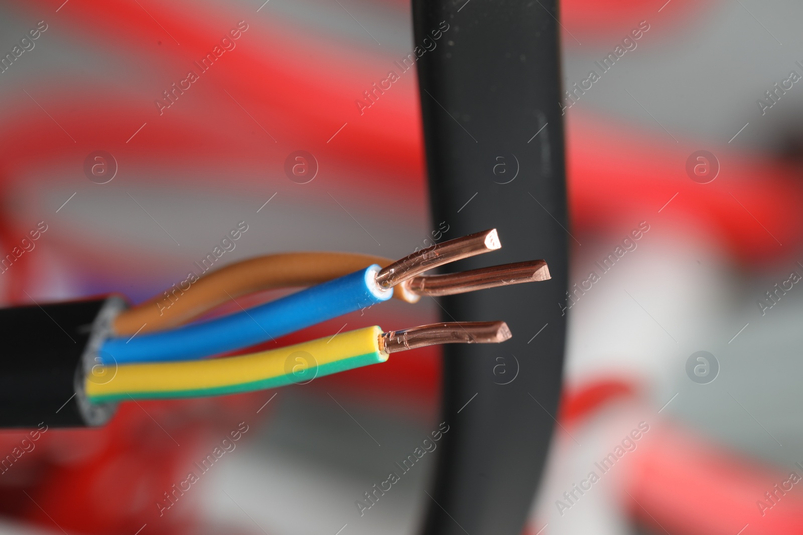 Photo of Colorful electrical wires on blurred background, closeup