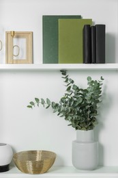 White shelves with books, eucalyptus and different decor indoors. Interior design