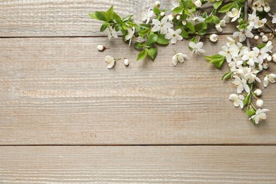 Photo of Blossoming spring tree branches as border on wooden background, flat lay. Space for text