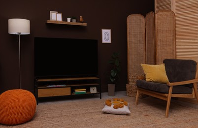 Photo of Modern TV on cabinet, stylish furniture and decorative elements in room. Interior design