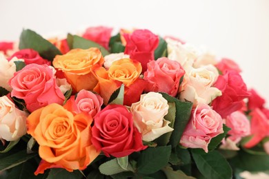 Photo of Bouquet of beautiful roses on white background, closeup