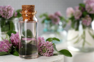 Beautiful clover flowers and bottle of essential oil on table. Space for text