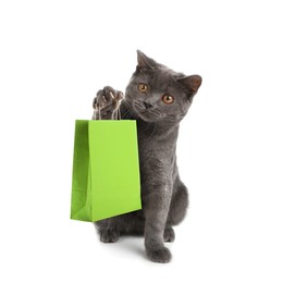 Image of Adorable grey British Shorthair cat holding green paper shopping bag on white background