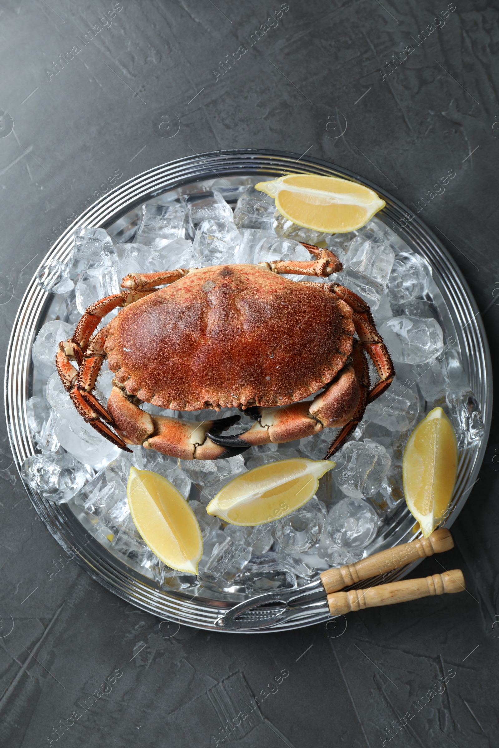 Photo of Delicious boiled crab with ice cubes, slices of lemon and cracker on grey table, top view
