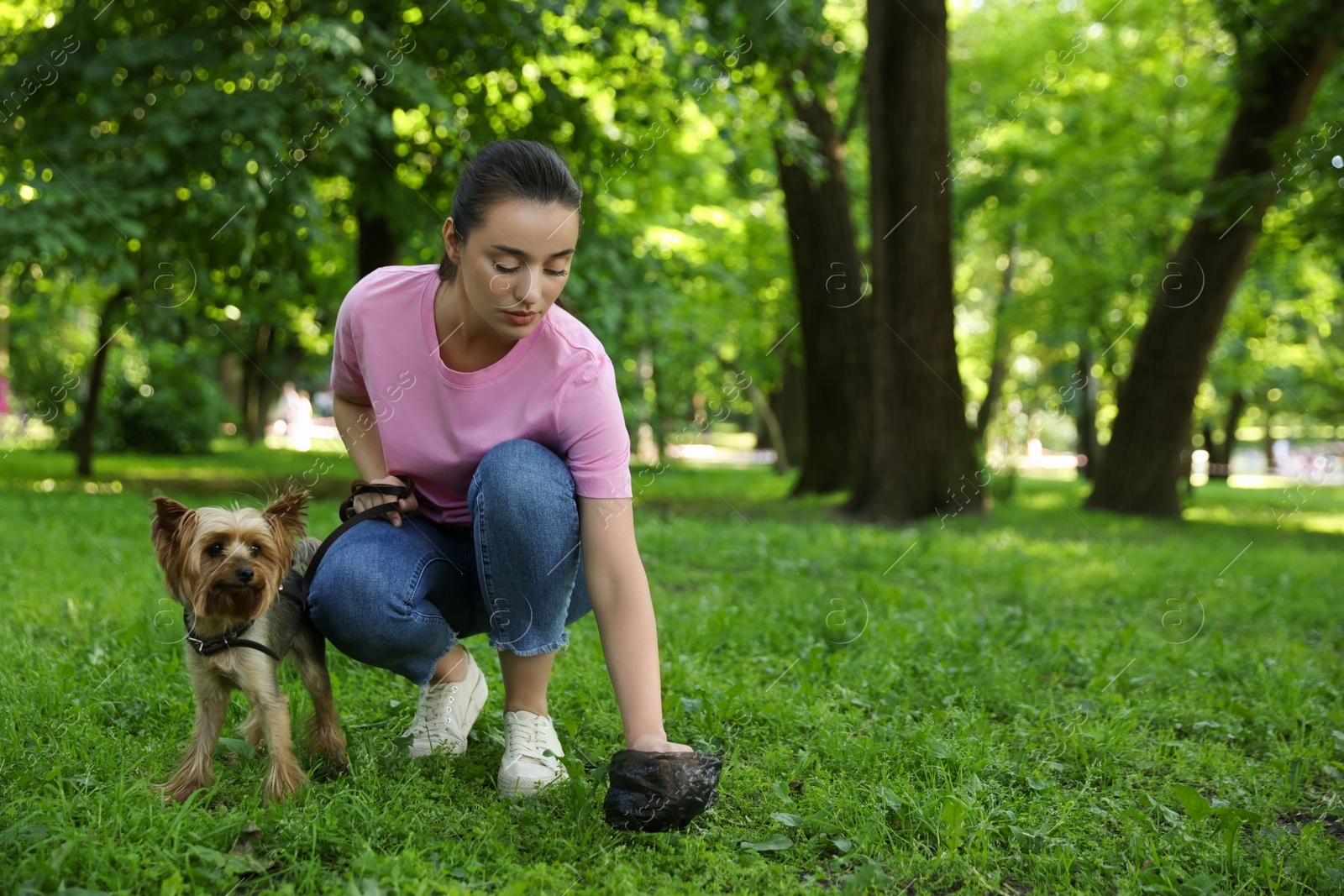 Photo of Woman picking up her dog's poop from green grass in park, space for text