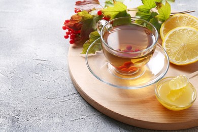 Cup of delicious tea with lemon, honey and viburnum on light grey table. Space for text
