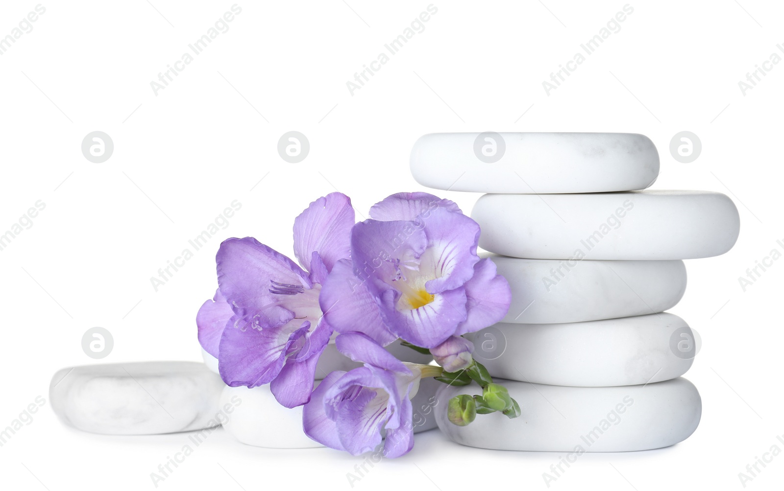 Photo of Stack of marble spa stones and fresh flowers isolated on white