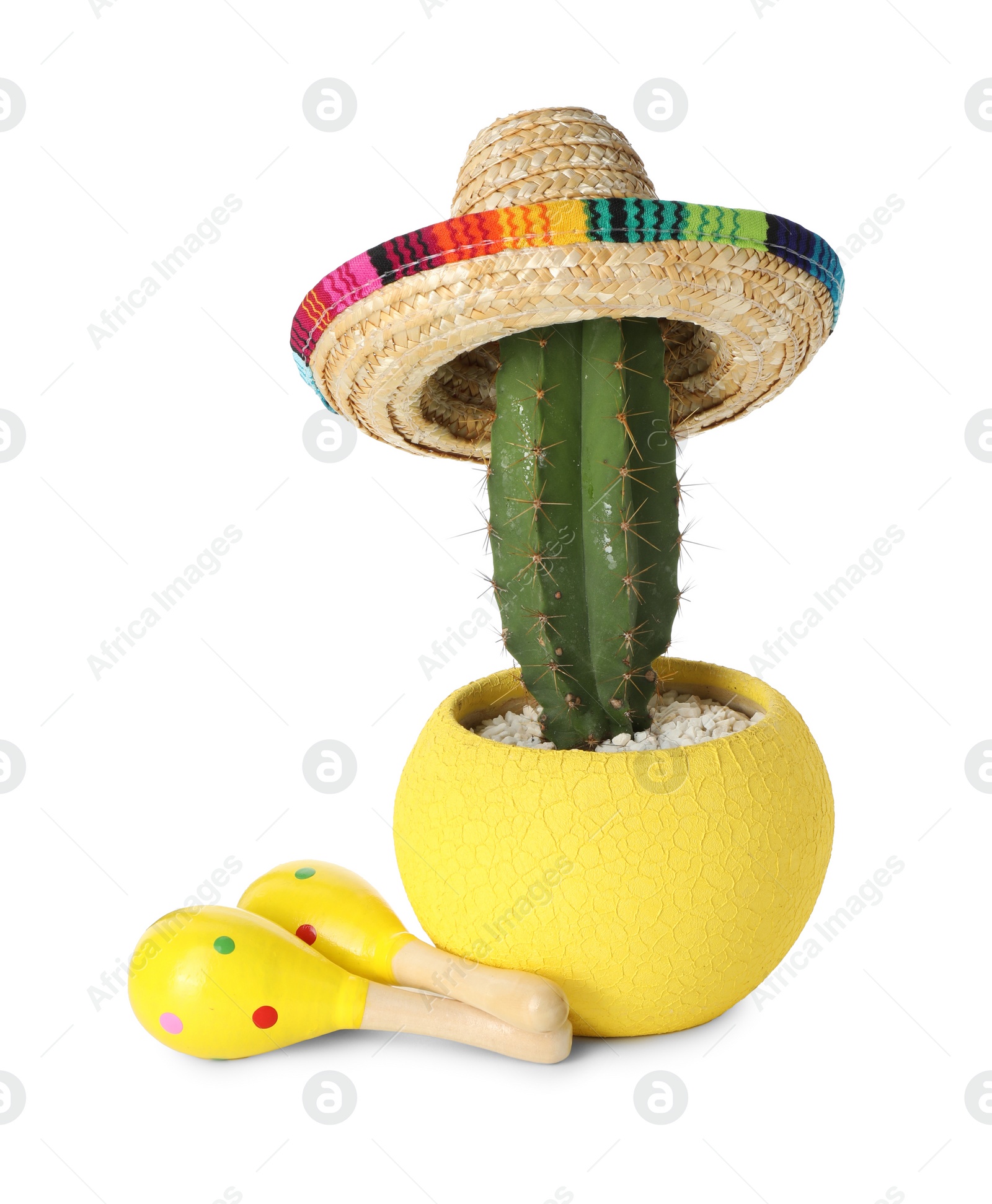 Photo of Cactus with Mexican sombrero hat and maracas isolated on white