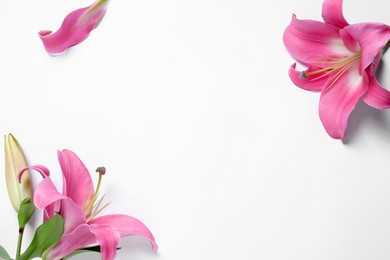 Photo of Beautiful pink lily flowers on white background, flat lay. Space for text