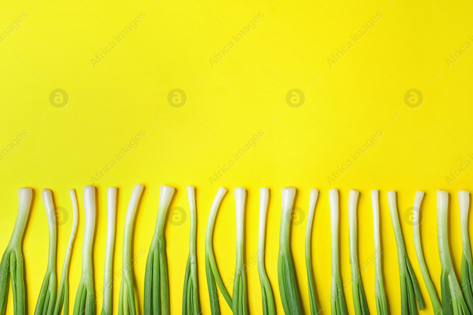 Photo of Flat lay composition with fresh green onion on yellow background. Space for text