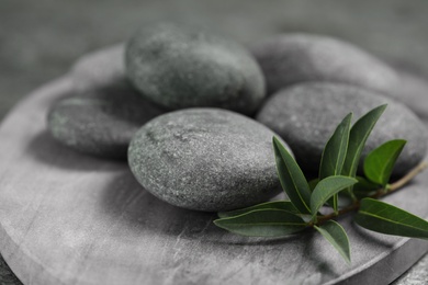 Photo of Spa stones and branch of plant on grey board, closeup