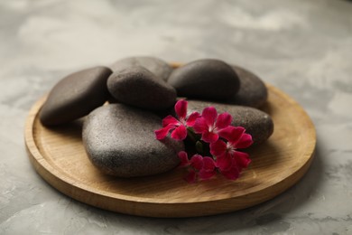 Photo of Spa stones and red flowers on grey table, closeup