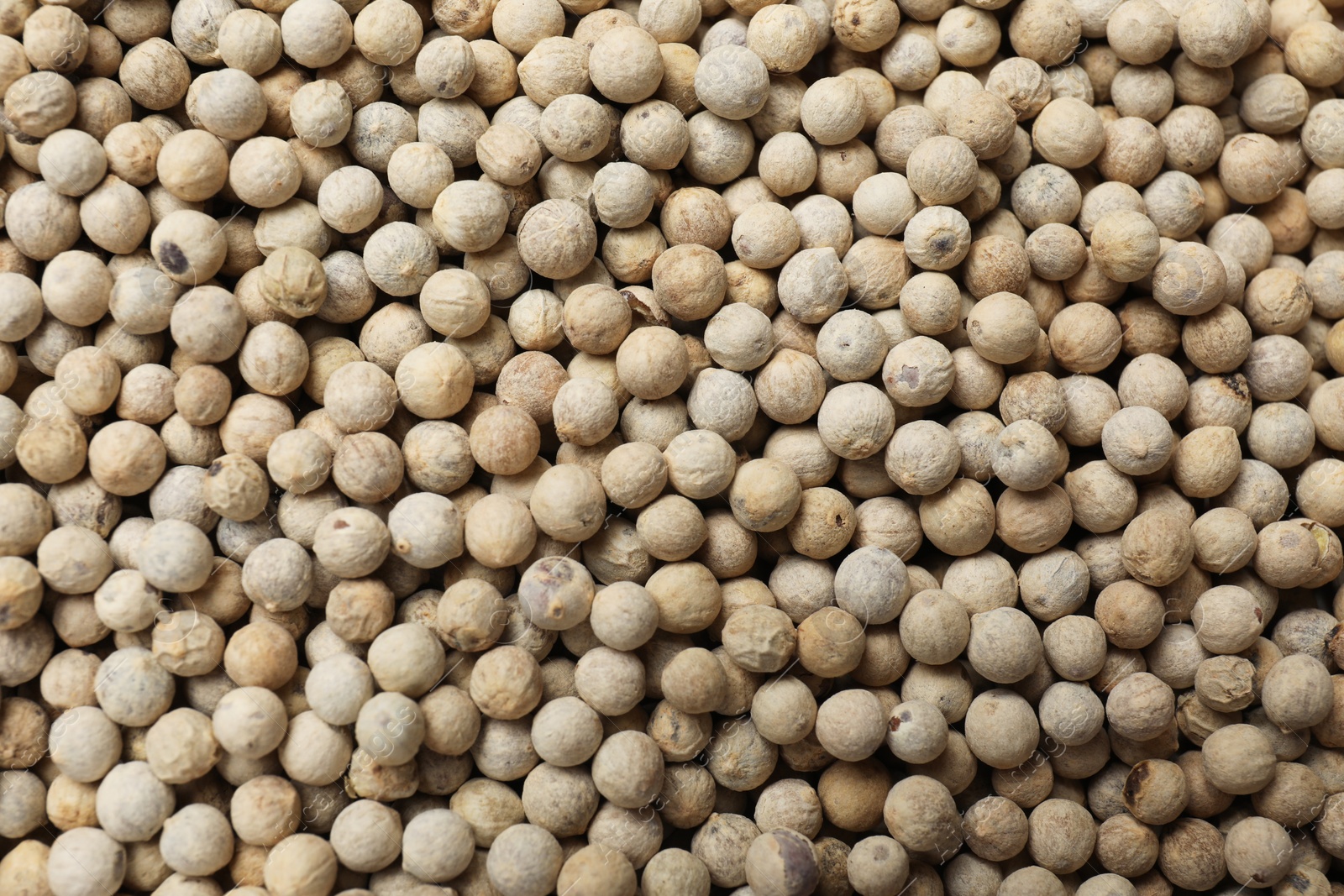 Photo of Aromatic spice. White peppers as background, top view