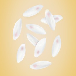 Image of White lotus flower petals falling on dark beige background