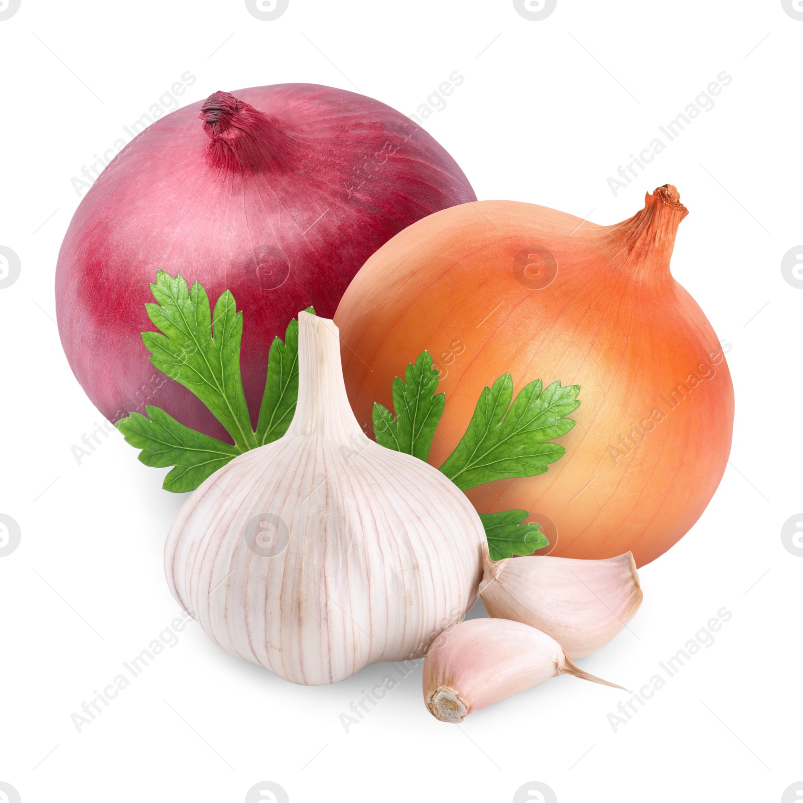 Image of Garlic, parsley, red and yellow onion bulbs isolated on white