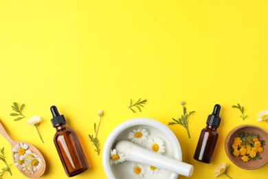 Flat lay composition with bottles of essential oil and flowers on color background, space for text