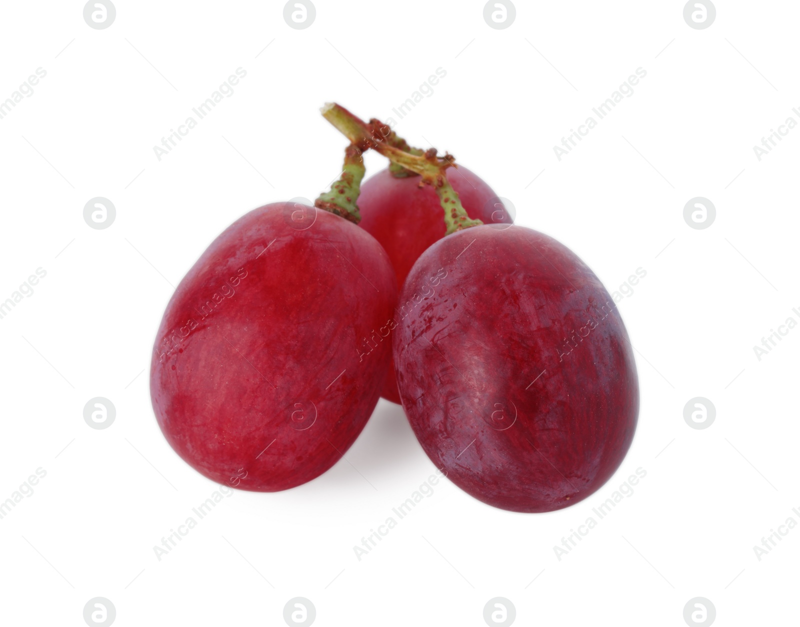 Photo of Tasty ripe red grapes isolated on white