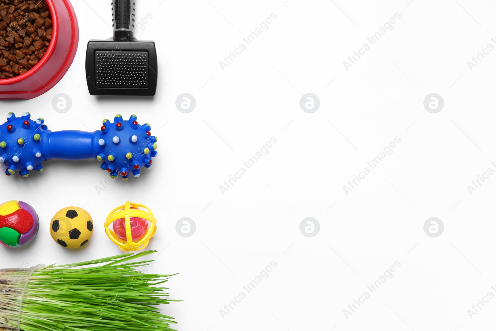 Photo of Flat lay composition with pet toys, food and accessories on white background, space for text