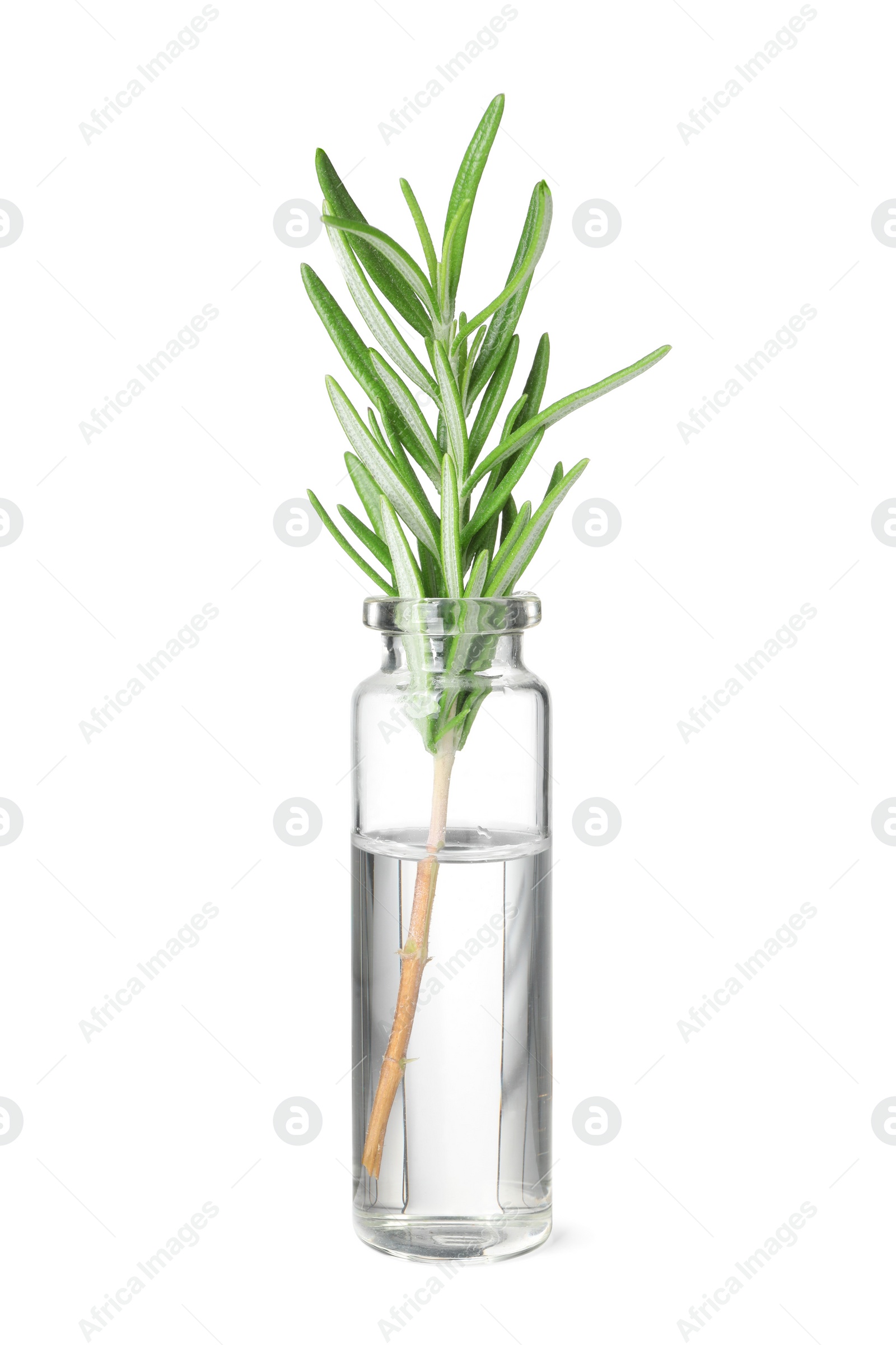 Photo of One bottle with essential oil and rosemary isolated on white