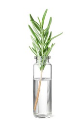 Photo of One bottle with essential oil and rosemary isolated on white