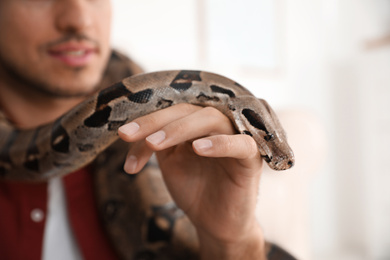 Photo of Man with his boa constrictor at home, closeup. Exotic pet