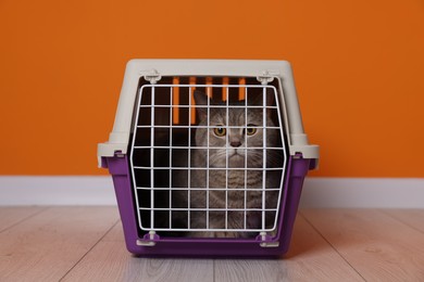 Photo of Travel with pet. Cute cat in carrier on floor near orange wall indoors