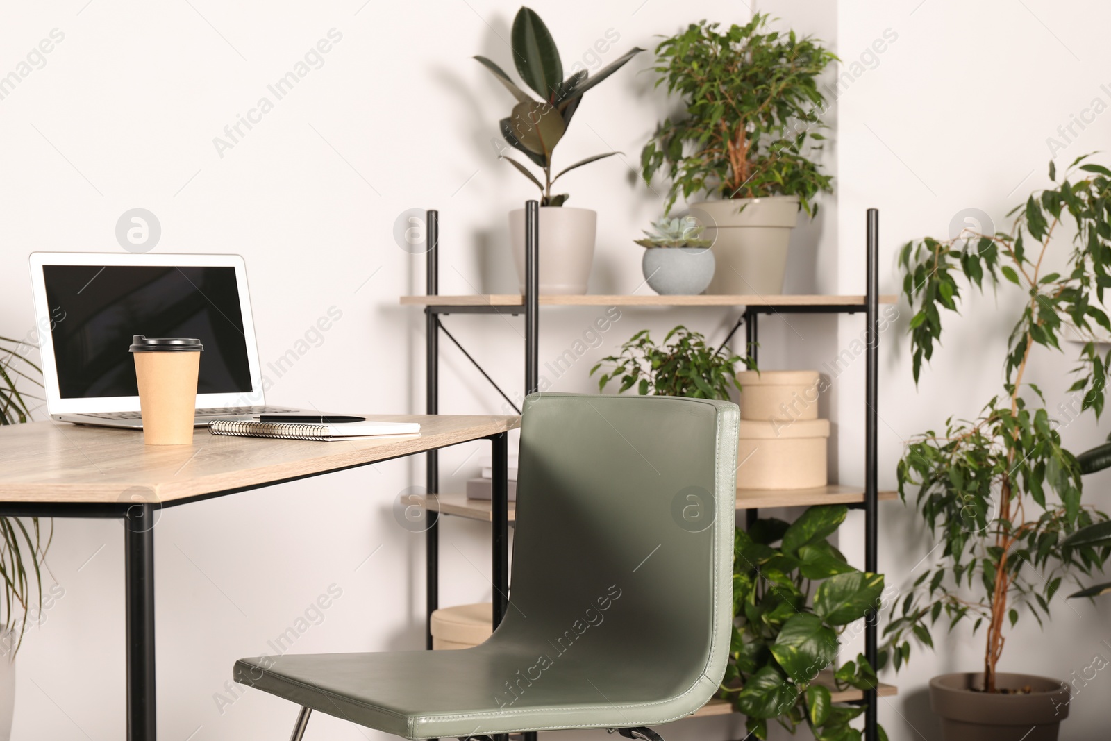 Photo of Beautiful workplace with laptop on wooden table, chair and houseplants in room