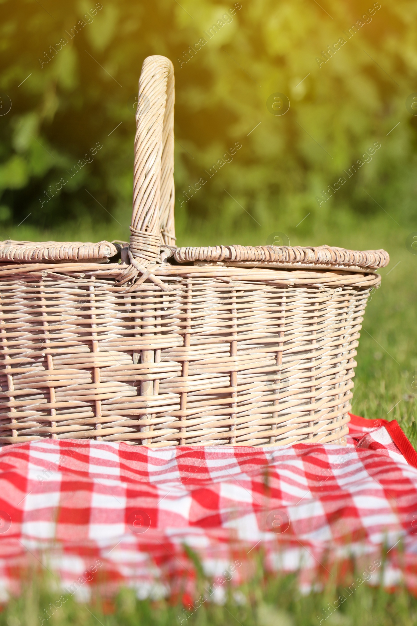 Photo of Picnic basket with checkered tablecloth on green grass outdoors