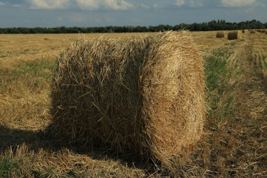 Photo of Beautiful view of agricultural field with hay bale