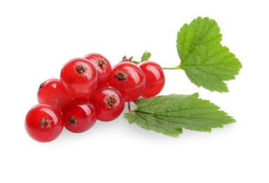 Photo of Bunch of fresh ripe redcurrants and green leaves isolated on white