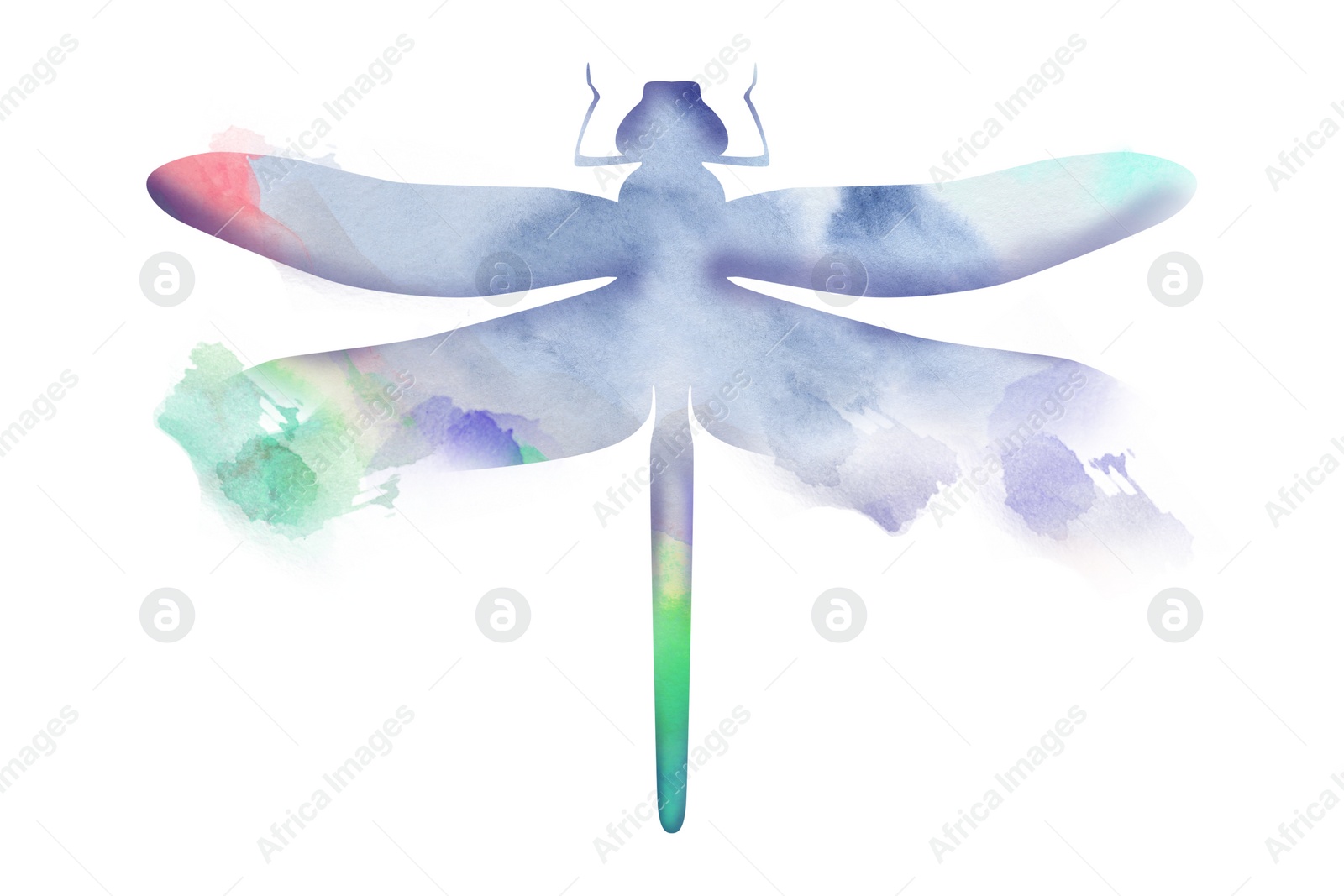 Illustration of Silhouette of dragonfly drawn with watercolor paint on white background