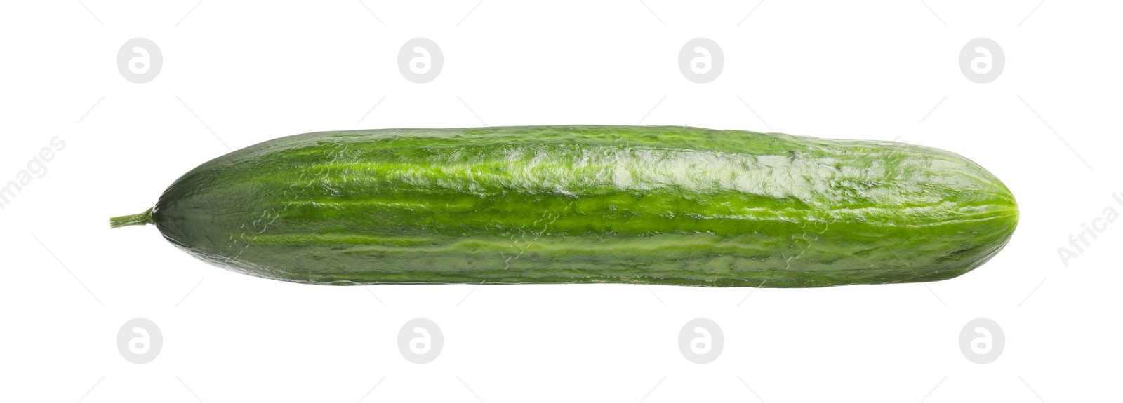 Photo of One long fresh cucumber isolated on white