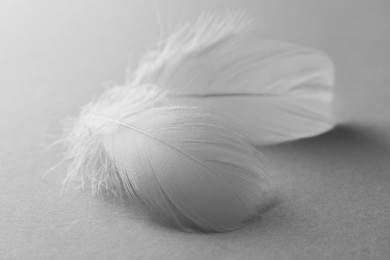 Photo of Fluffy white feathers on light grey background, closeup