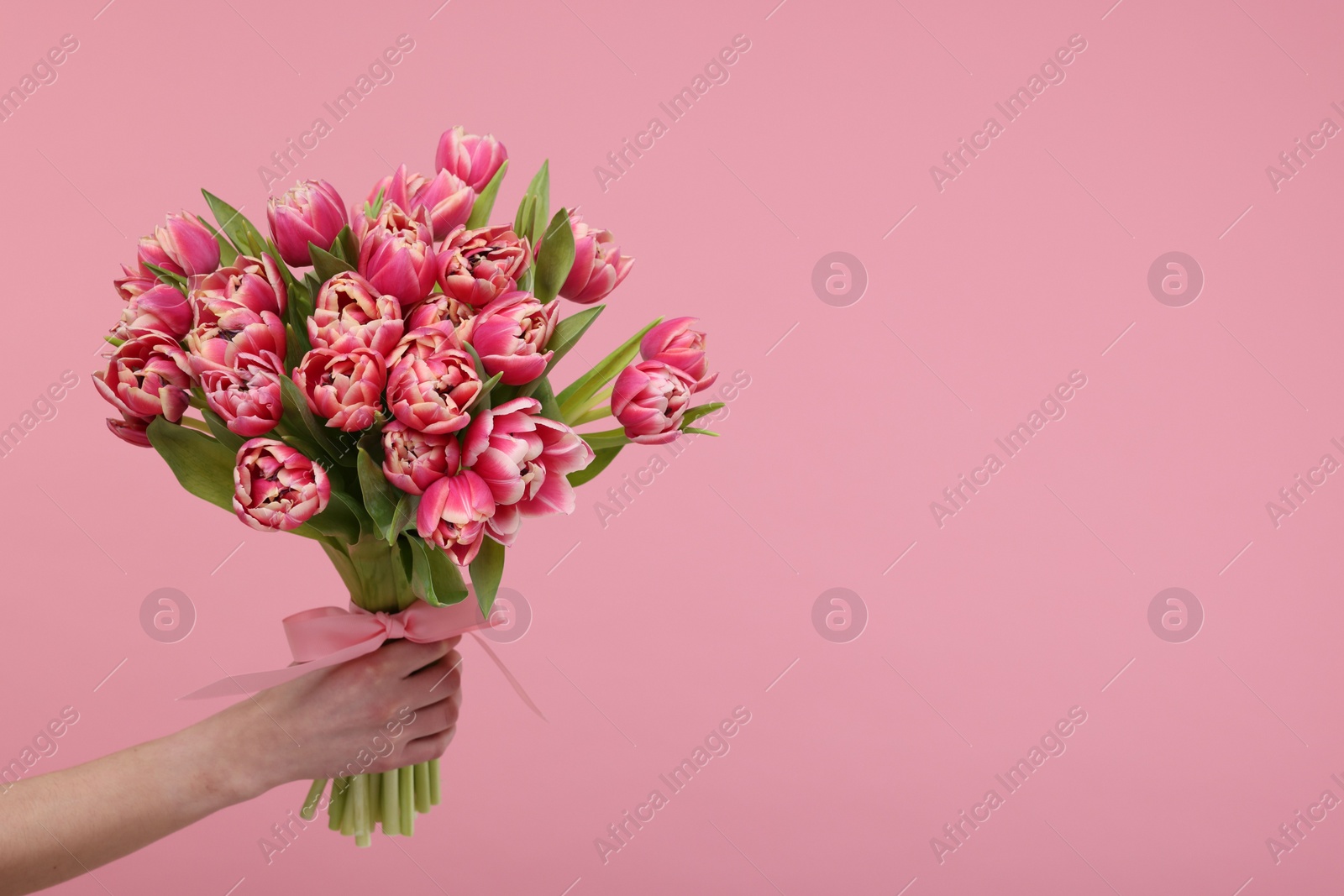 Photo of Woman holding beautiful bouquet on dusty pink background, closeup. Space for text