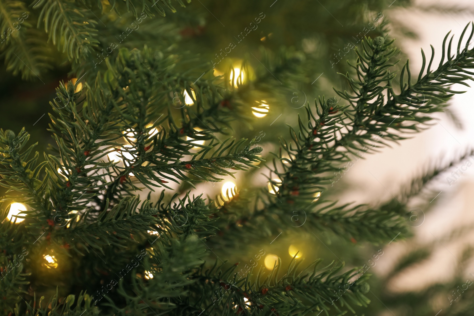 Photo of Beautiful Christmas tree with glowing fairy lights, closeup