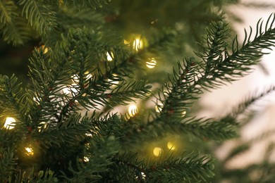 Beautiful Christmas tree with glowing fairy lights, closeup