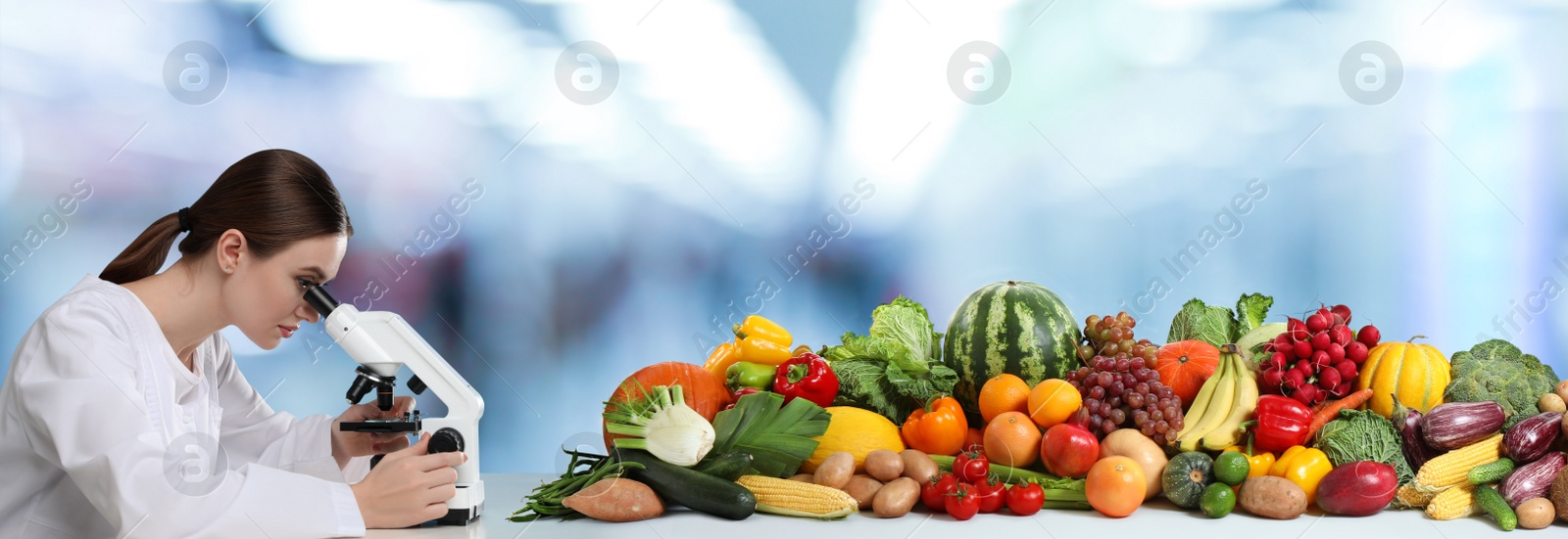 Image of Quality control specialist inspecting food in laboratory. Banner design 