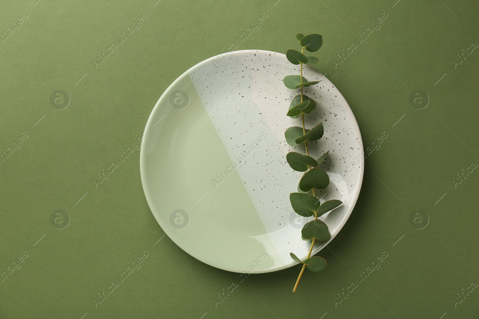 Photo of Beautiful ceramic plate and eucalyptus branch on green background, top view