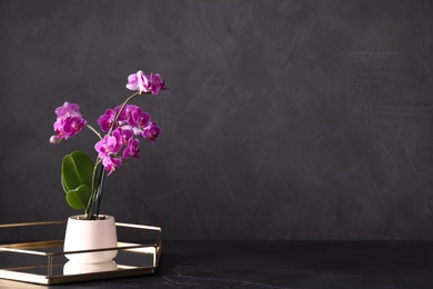 Photo of Flowerpot with blooming orchid on black stone table against dark background, space for text