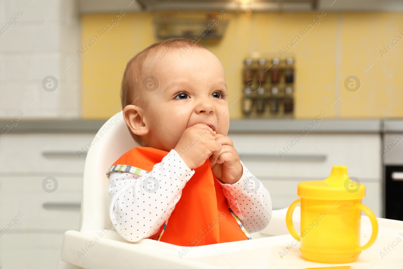 Photo of Cute little baby eating cookie at home