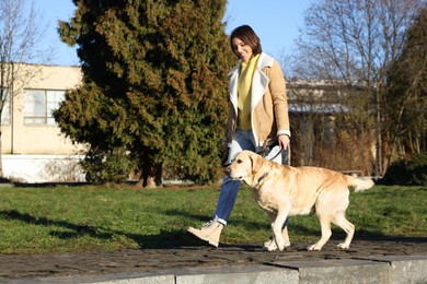 Photo of Beautiful young woman walking with cute Labrador Retriever on sunny day outdoors