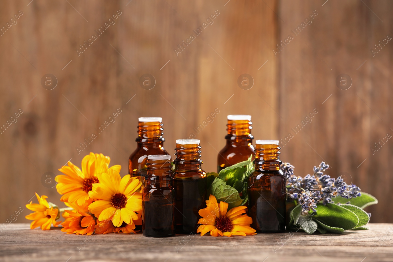 Photo of Bottles with essential oils, herbs and flowers on wooden table. Space for text